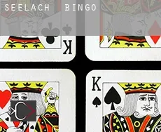 Seelach Bingo
