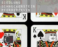 Siedlung Schneckenstein  Pferderennen