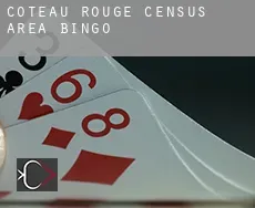 Coteau-Rouge (census area)  Bingo