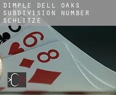 Dimple Dell Oaks Subdivision Number 2 Schlitze