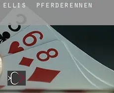 Ellis  Pferderennen