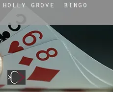 Holly Grove  Bingo