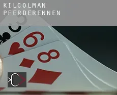 Kilcolman  Pferderennen