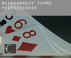 Meadowbrook Farms  Pferderennen