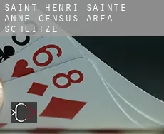 Saint-Henri-Sainte-Anne (census area)  Schlitze