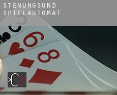 Stenungsund Municipality Spielautomat