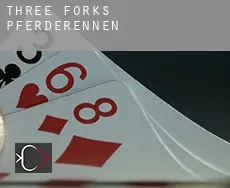 Three Forks  Pferderennen