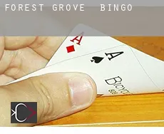 Forest Grove  Bingo