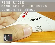 Pine Ridge Manufactured Housing Community  Bingo