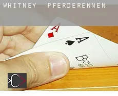 Whitney  Pferderennen