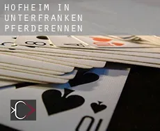 Hofheim in Unterfranken  Pferderennen