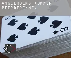 Ängelholms Kommun  Pferderennen