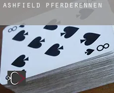Ashfield  Pferderennen