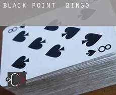Black Point  Bingo