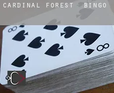 Cardinal Forest  Bingo