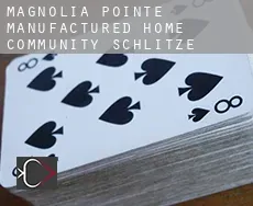 Magnolia Pointe Manufactured Home Community  Schlitze