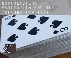 Northeastern Manitoulin and the Islands  Schlitze
