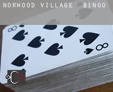 Norwood Village  Bingo
