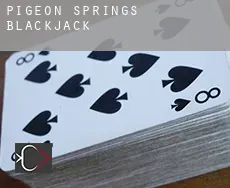 Pigeon Springs  Blackjack
