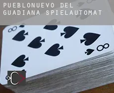 Pueblonuevo del Guadiana Spielautomat