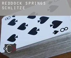 Reddock Springs  Schlitze
