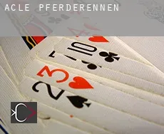 Acle  Pferderennen