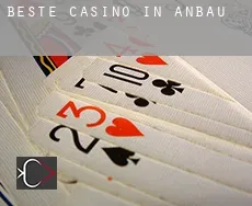 Beste Casino in  Anbau