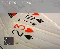 Biberg  Bingo