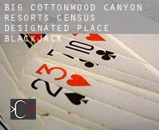Big Cottonwood Canyon Resorts  Blackjack