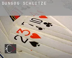 Dungog  Schlitze