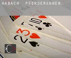 Habach  Pferderennen