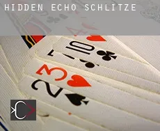 Hidden Echo Schlitze
