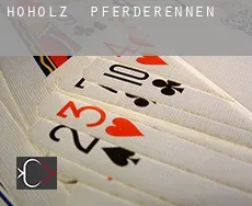 Hoholz  Pferderennen