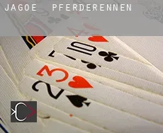 Jagoe  Pferderennen
