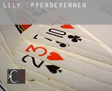 Lily  Pferderennen