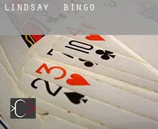 Lindsay  Bingo