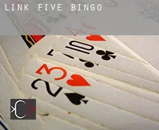 Link Five  Bingo