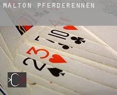 Malton  Pferderennen