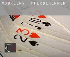 Modreeny Pferderennen