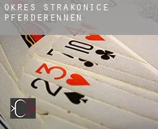 Okres Strakonice  Pferderennen