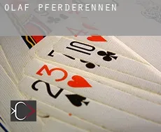 Olaf  Pferderennen