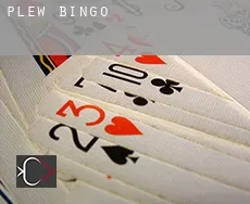 Plew  Bingo