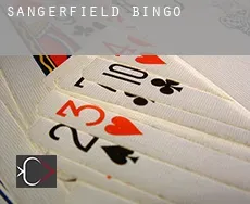 Sangerfield  Bingo