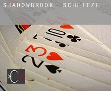 Shadowbrook  Schlitze