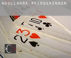 Woollahra  Pferderennen