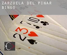 Zarzuela del Pinar Bingo