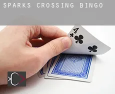 Sparks Crossing  Bingo