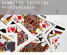 Hammetts Crossing  Pferderennen