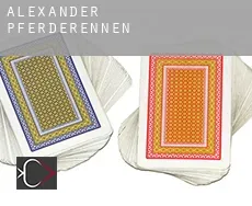 Alexander Pferderennen