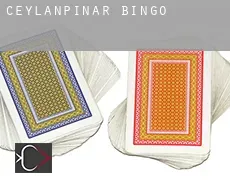 Ceylanpınar  Bingo